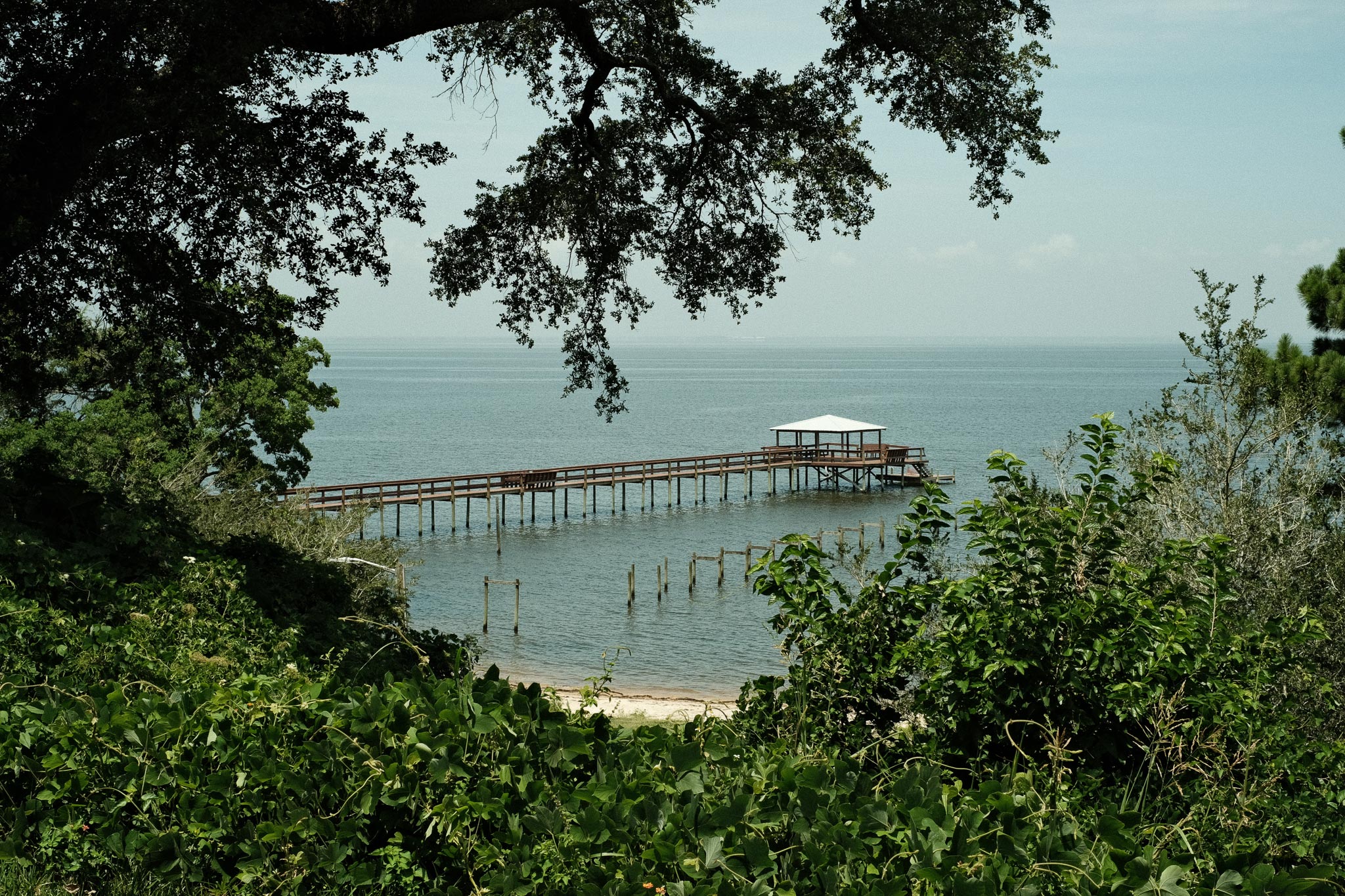Homes for Sale in The Bluff Fairhope AL Local Property Inc.